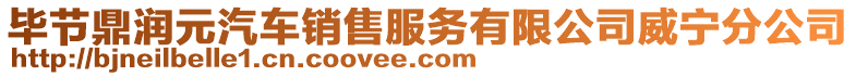 畢節(jié)鼎潤元汽車銷售服務有限公司威寧分公司