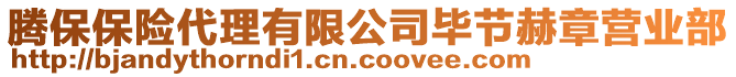 騰保保險代理有限公司畢節赫章營業部