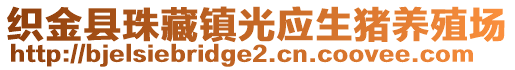 織金縣珠藏鎮(zhèn)光應(yīng)生豬養(yǎng)殖場(chǎng)