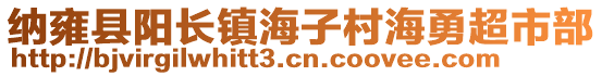 納雍縣陽長鎮(zhèn)海子村海勇超市部