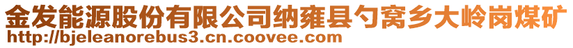 金發(fā)能源股份有限公司納雍縣勺窩鄉(xiāng)大嶺崗煤礦