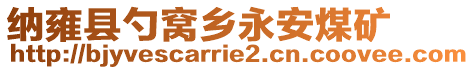 納雍縣勺窩鄉(xiāng)永安煤礦