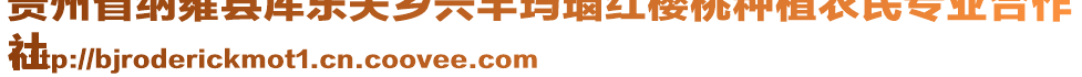 貴州省納雍縣厙東關鄉(xiāng)興豐瑪瑙紅櫻桃種植農民專業(yè)合作
社