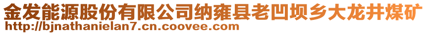 金發(fā)能源股份有限公司納雍縣老凹壩鄉(xiāng)大龍井煤礦