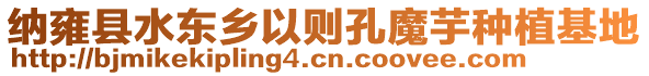 納雍縣水東鄉(xiāng)以則孔魔芋種植基地