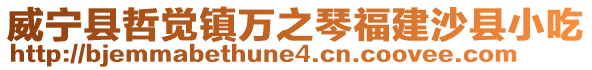 威寧縣哲覺鎮(zhèn)萬之琴福建沙縣小吃