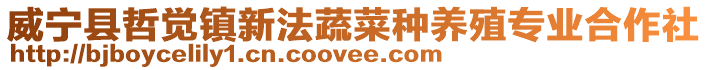威寧縣哲覺(jué)鎮(zhèn)新法蔬菜種養(yǎng)殖專業(yè)合作社