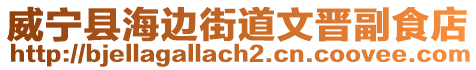 威寧縣海邊街道文晉副食店