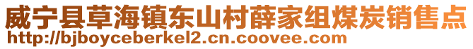 威寧縣草海鎮東山村薛家組煤炭銷售點