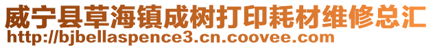 威寧縣草海鎮(zhèn)成樹打印耗材維修總匯