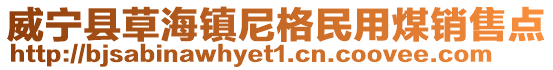 威寧縣草海鎮尼格民用煤銷售點
