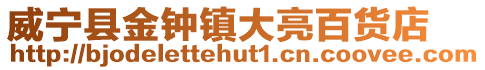 威寧縣金鐘鎮(zhèn)大亮百貨店