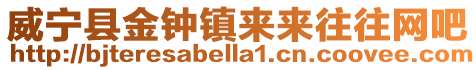 威寧縣金鐘鎮來來往往網吧