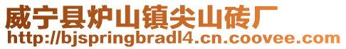 威寧縣爐山鎮尖山磚廠