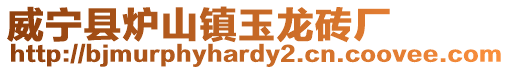 威寧縣爐山鎮(zhèn)玉龍磚廠