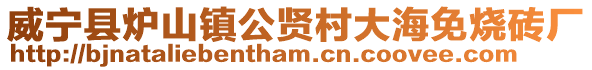 威寧縣爐山鎮公賢村大海免燒磚廠
