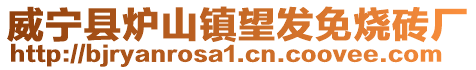 威寧縣爐山鎮(zhèn)望發(fā)免燒磚廠