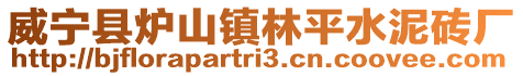 威寧縣爐山鎮林平水泥磚廠