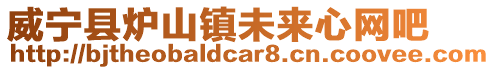 威寧縣爐山鎮未來心網吧