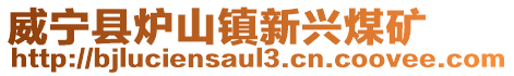 威寧縣爐山鎮新興煤礦