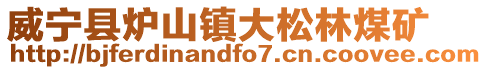 威寧縣爐山鎮大松林煤礦