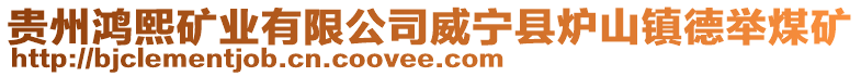 貴州鴻熙礦業有限公司威寧縣爐山鎮德舉煤礦