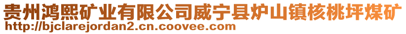 貴州鴻熙礦業有限公司威寧縣爐山鎮核桃坪煤礦
