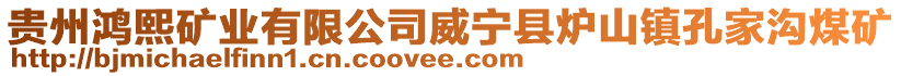 貴州鴻熙礦業有限公司威寧縣爐山鎮孔家溝煤礦