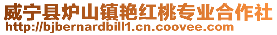 威寧縣爐山鎮艷紅桃專業合作社