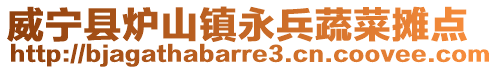 威寧縣爐山鎮永兵蔬菜攤點