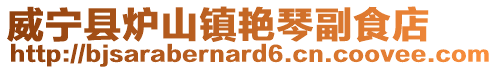 威寧縣爐山鎮艷琴副食店