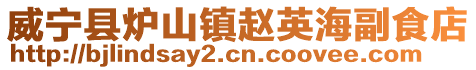 威寧縣爐山鎮趙英海副食店