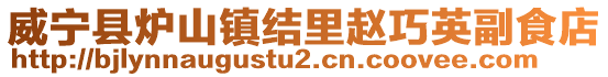 威寧縣爐山鎮結里趙巧英副食店