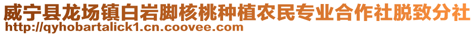 威寧縣龍場鎮白巖腳核桃種植農民專業合作社脫致分社