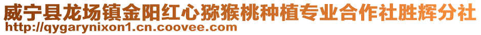 威寧縣龍場鎮金陽紅心獼猴桃種植專業合作社勝輝分社