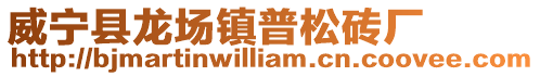 威寧縣龍場鎮(zhèn)普松磚廠