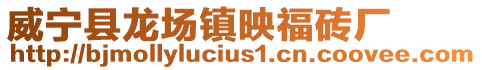 威寧縣龍場(chǎng)鎮(zhèn)映福磚廠