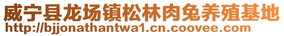 威寧縣龍場鎮松林肉兔養殖基地