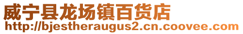 威寧縣龍場鎮(zhèn)百貨店