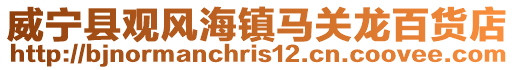 威寧縣觀風(fēng)海鎮(zhèn)馬關(guān)龍百貨店