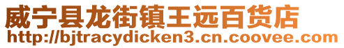 威寧縣龍街鎮王遠百貨店