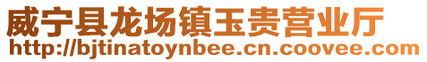 威寧縣龍場鎮玉貴營業廳