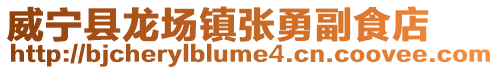 威寧縣龍場鎮張勇副食店