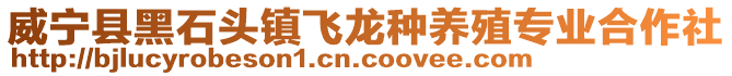 威寧縣黑石頭鎮飛龍種養殖專業合作社