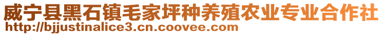威寧縣黑石鎮毛家坪種養殖農業專業合作社