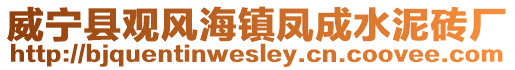 威寧縣觀風海鎮鳳成水泥磚廠