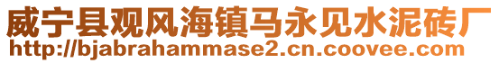 威寧縣觀風海鎮馬永見水泥磚廠