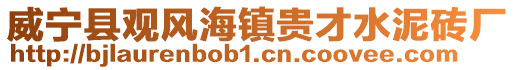 威寧縣觀風海鎮貴才水泥磚廠