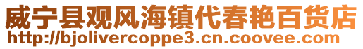 威寧縣觀風海鎮代春艷百貨店