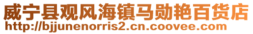 威寧縣觀風(fēng)海鎮(zhèn)馬勛艷百貨店